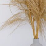 Religious Events - Golden plant with lush leaves and thin stems put in vase near wooden table mat with egg box and painted eggs inside for Easter celebration