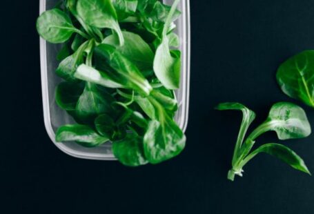 Food Preservation - Leafy Vegetables on a Plastic Container