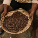 Coffee Trade - Crop ethnic person with coffee beans on plate