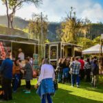 Food Carts - Group of People Standing on Green Grass Field